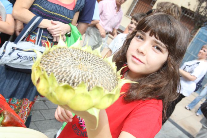 concurso-agricultura-21